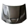Chrysler 300 Hellcat Hood