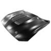 Mustang Hood
